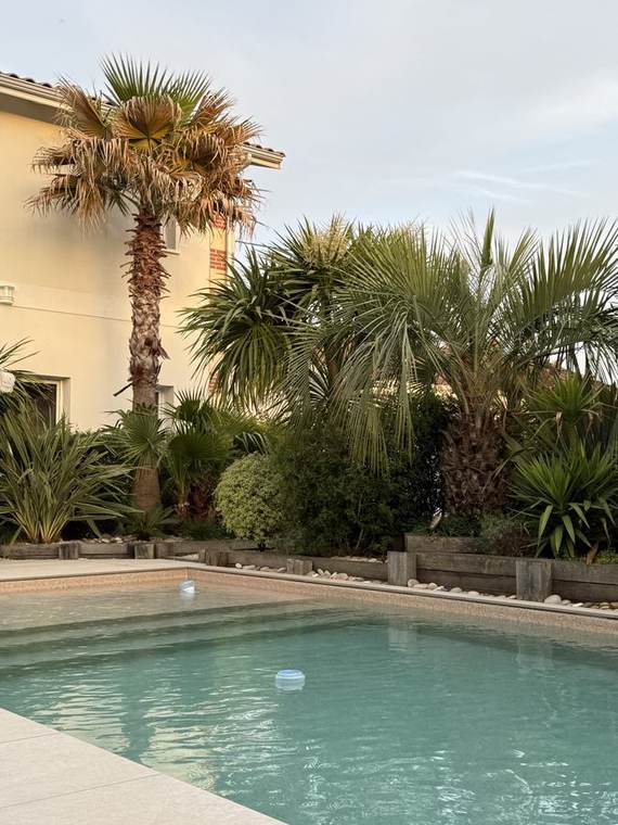 La piscine au petit matin, lumière rasante sur les palmiers