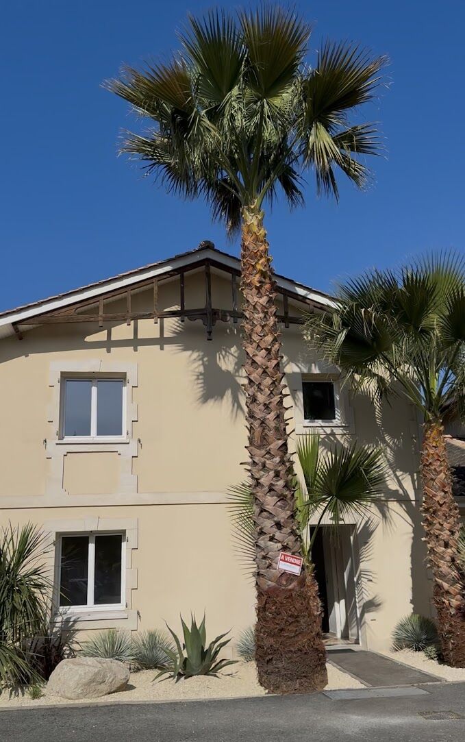 Entree exotique et jardin mineral realises par l'equipe