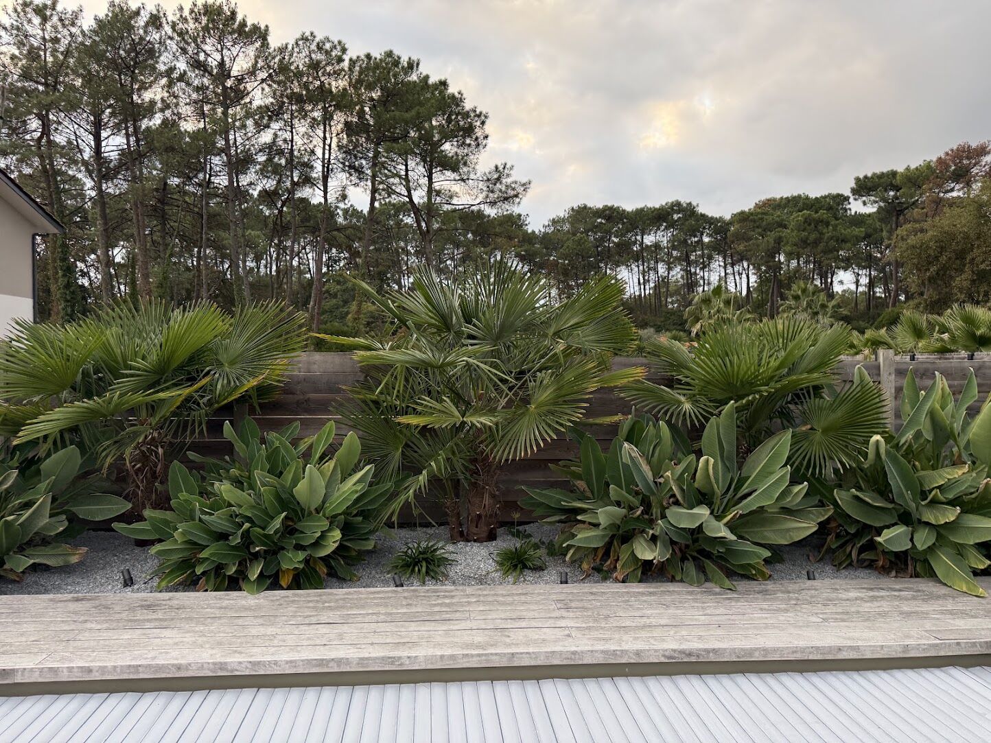 Plage de piscine en bois et massifs exotiques realises par l'equipe